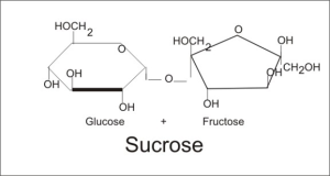 fructose&glucose&sucrose